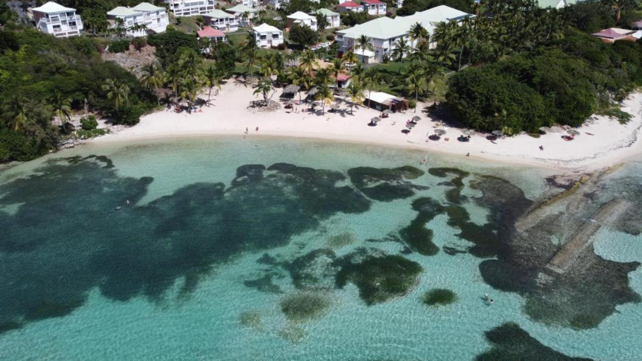 Chaleureux Studio 4 Personnes - Residence Anse Des Rochers - " Les Alizes Du Soir " Tout Equipe Et Citerne D'Eau Saint-Francois  Eksteriør billede